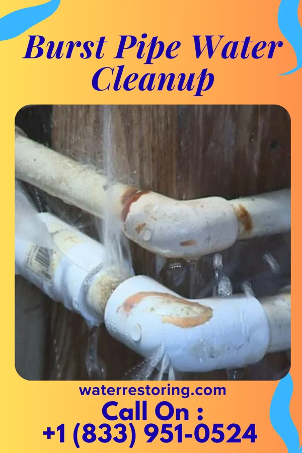 Burst Pipe Water Cleanup in St. Joseph, WI