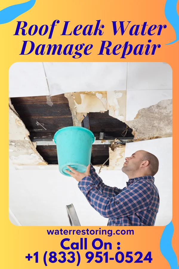 Roof Leak Water Damage Repair in St. Joseph, WI