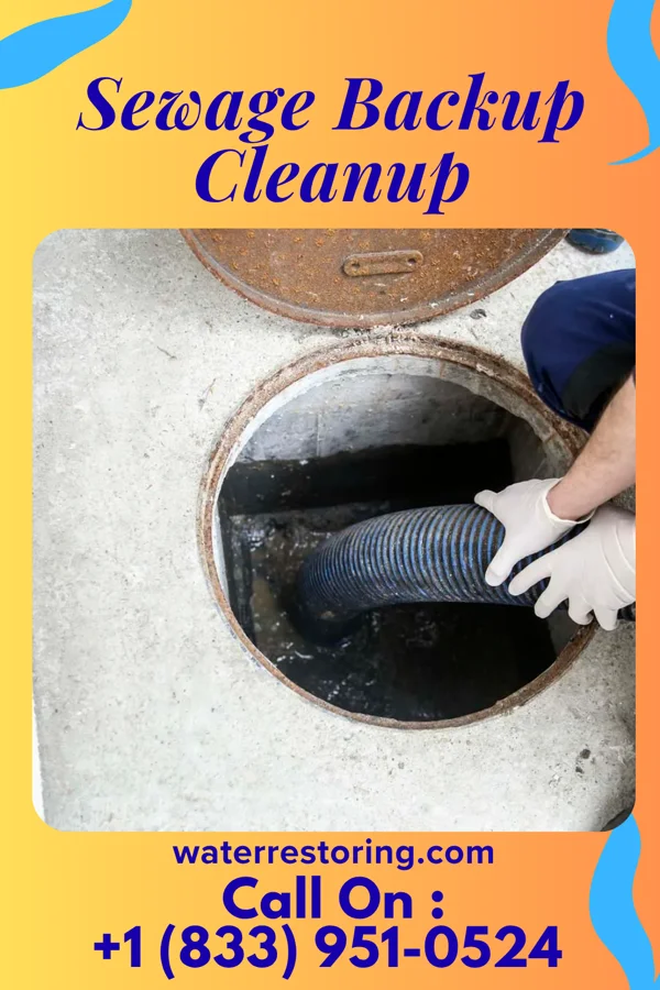 Sewage Backup Cleanup in St. Joseph, WI
