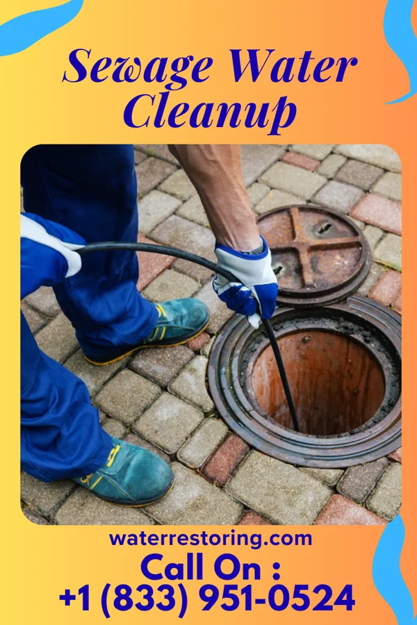 Sewage Water Cleanup in St. Joseph, WI
