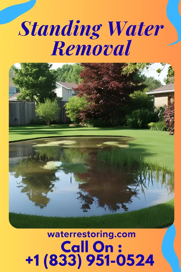 Standing Water Removal in St. Joseph, WI